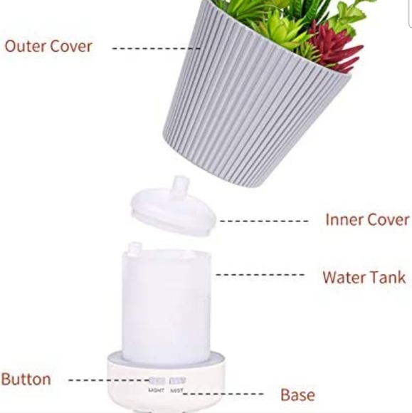 Succulent Diffuser and essential oil set - Picture 6 of 11